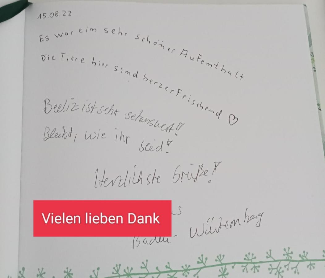 Ferienzimmer Waldzauber Borkwalde Zewnętrze zdjęcie