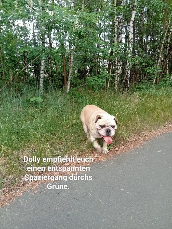 Ferienzimmer Waldzauber Borkwalde Zewnętrze zdjęcie