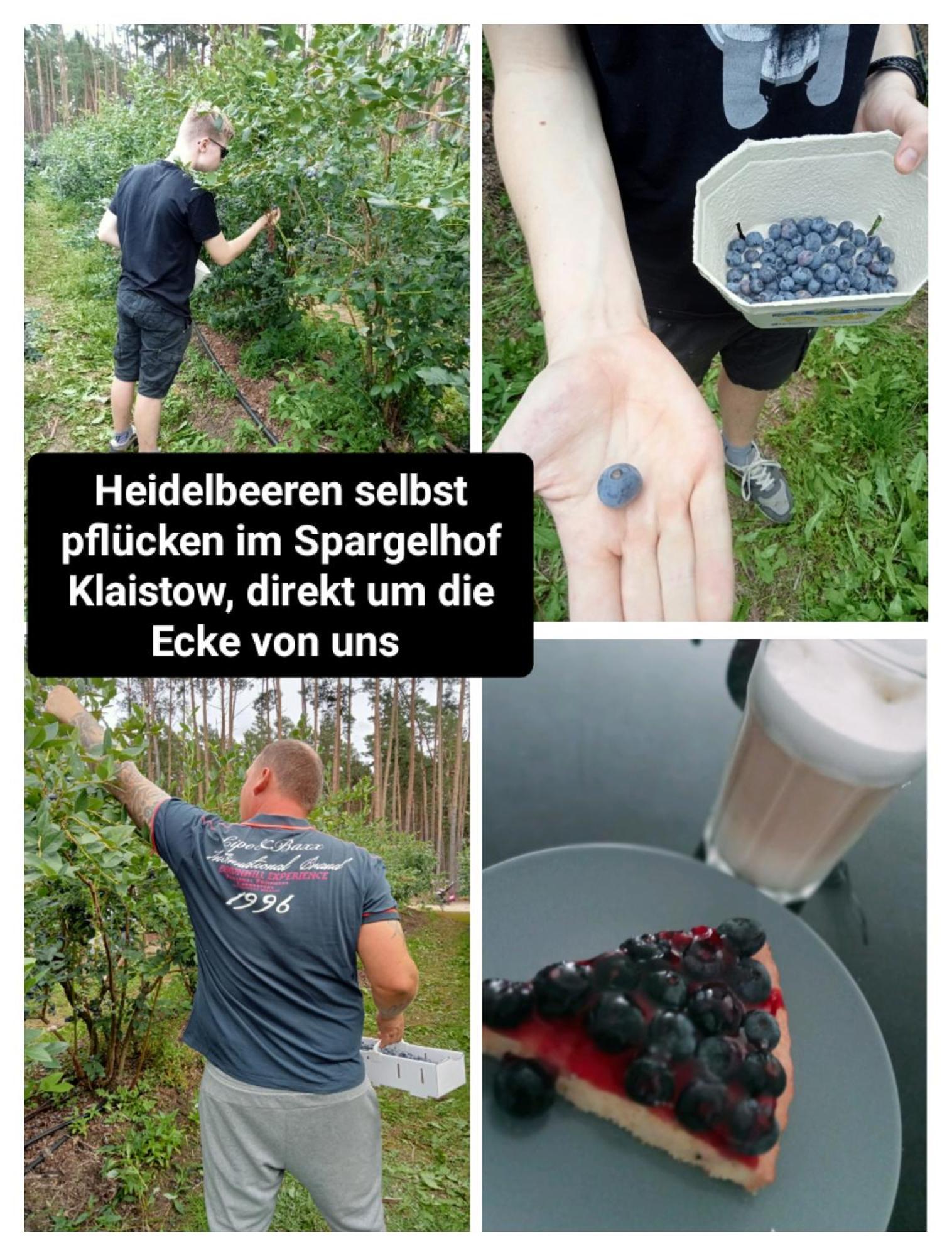 Ferienzimmer Waldzauber Borkwalde Zewnętrze zdjęcie